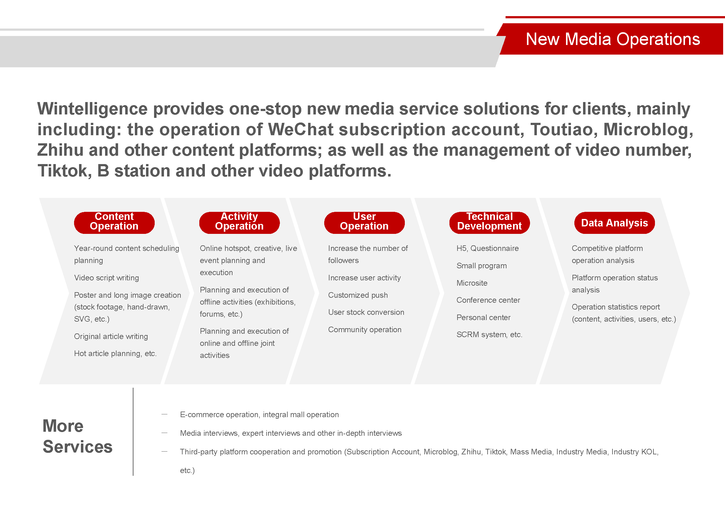 New-Media Operation-Service area.png